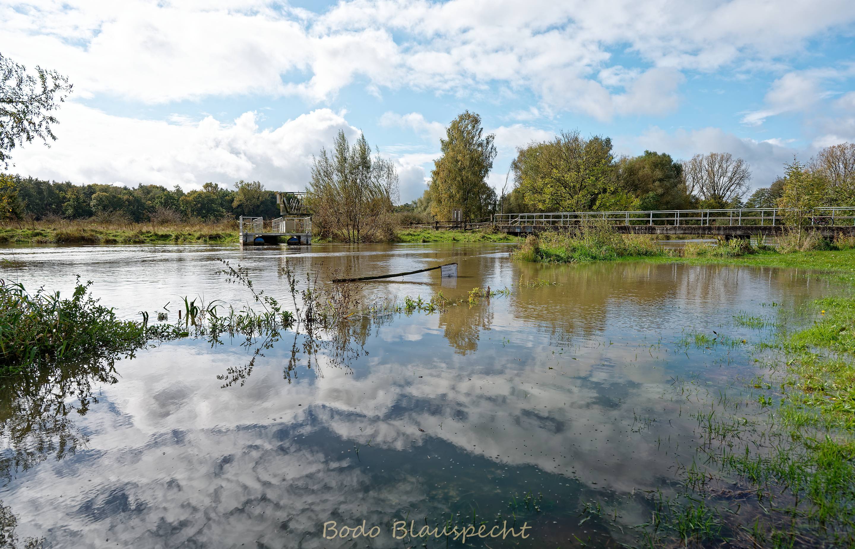 Hochwasser   Steveraue   2024.10.10 13.01 197 WEB